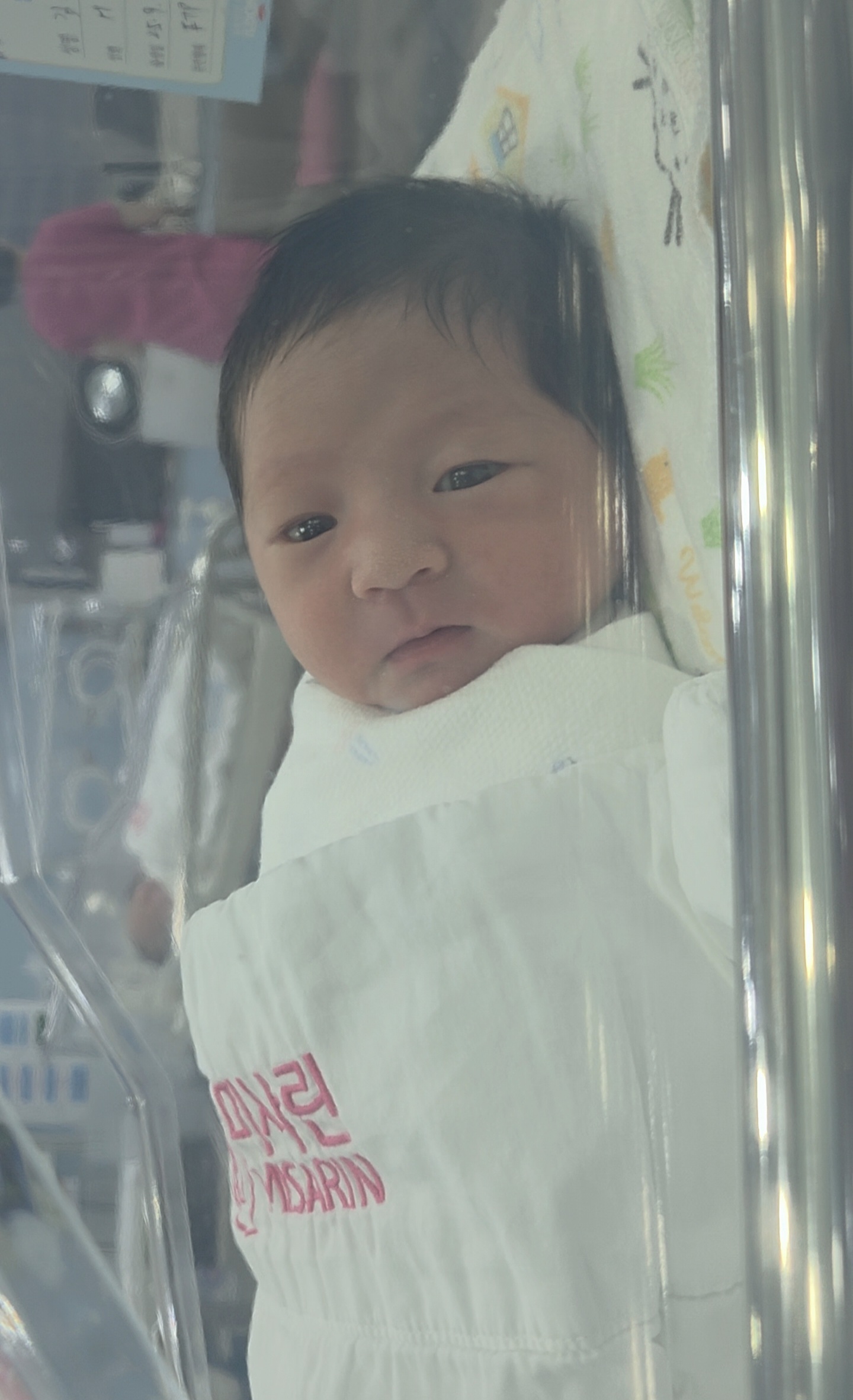 진이가 꽃 옆에서 카메라를 바라보는 모습